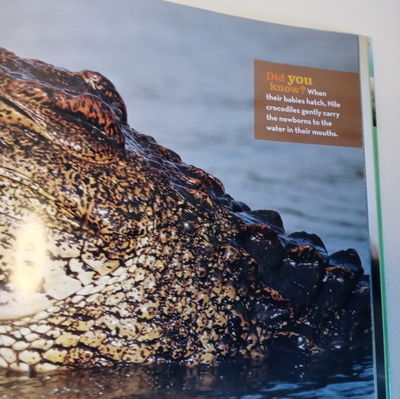 National geographic kids African animal alphabet book. Children's books - Picture 5 of 6